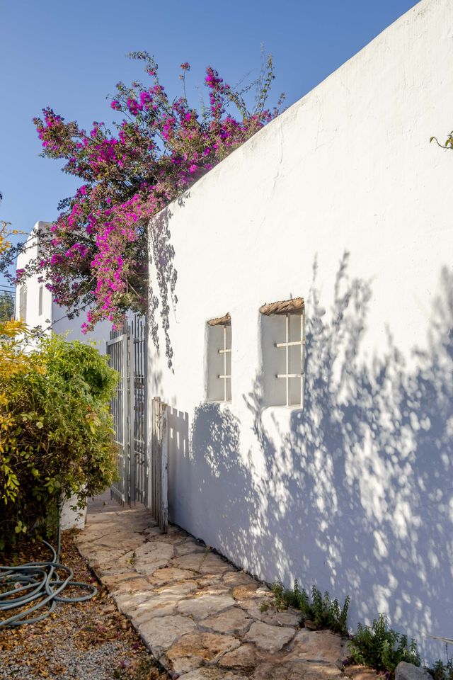 Finca Santa Gertrudis thumbnail 22