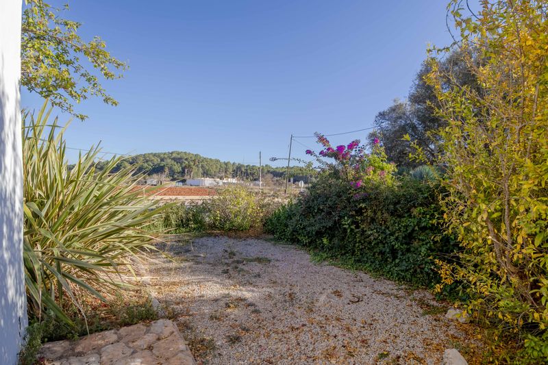 Finca Santa Gertrudis thumbnail 23