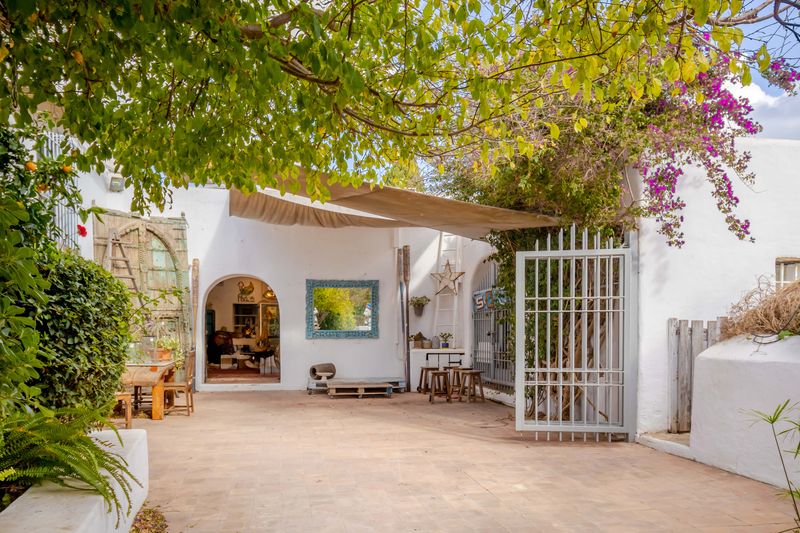 Finca Santa Gertrudis thumbnail 65