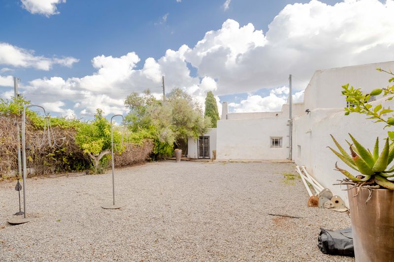 Finca Santa Gertrudis thumbnail 83