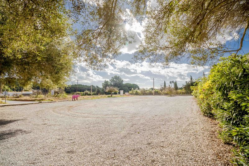 Finca Santa Gertrudis thumbnail 85