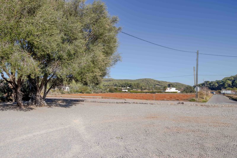 Finca Santa Gertrudis thumbnail 86