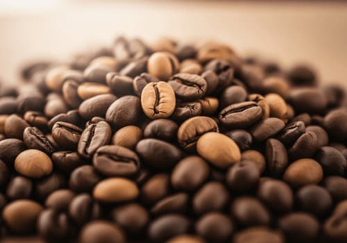 Arabica vs. Robusta: Welcher Kaffee passt zu dir? Der ultimative Geschmacksvergleich