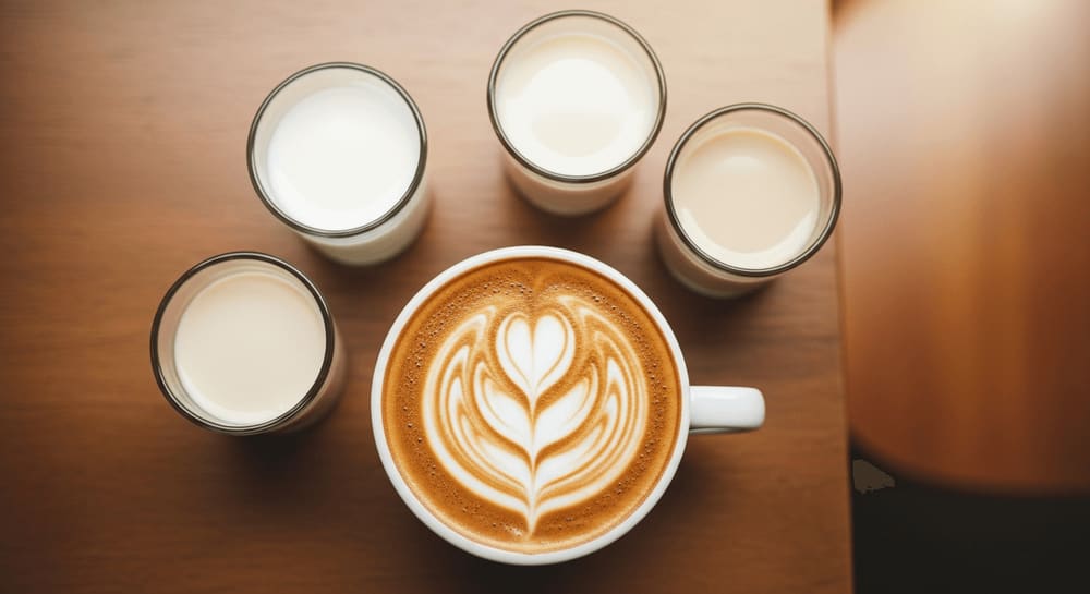 Cappuccino with latte art and milk variations