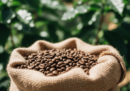 Bio & Fairtrade Kaffee: Mehr als nur ein Siegel – Deine nachhaltige Wahl