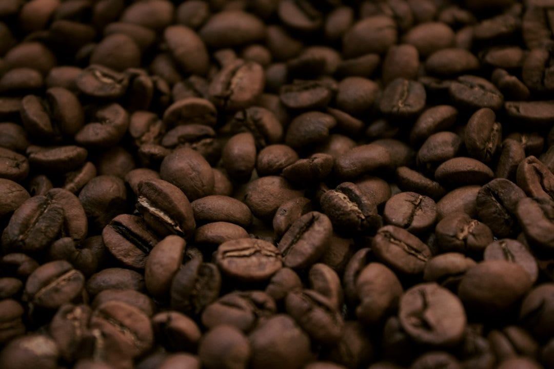 Üppig grüne Kaffeepflanzen, die an einem Hang in Kolumbien wachsen, lebendige Farben, filmisch | Foto: Gary Scott