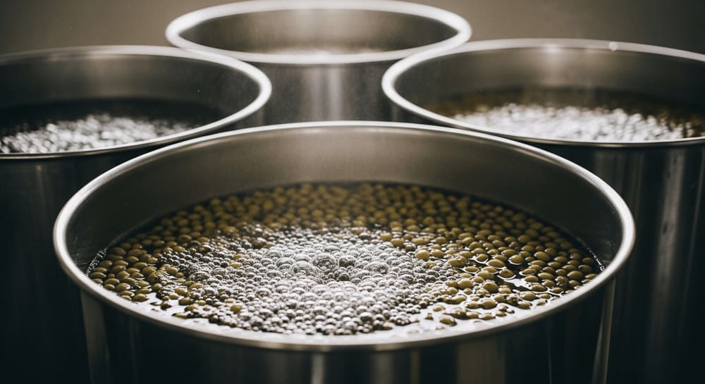 Kaffeekirschen fermentieren in Wasser in Edelstahltanks, Nahaufnahme der Blasenbildung während des Prozesses, weiches Licht