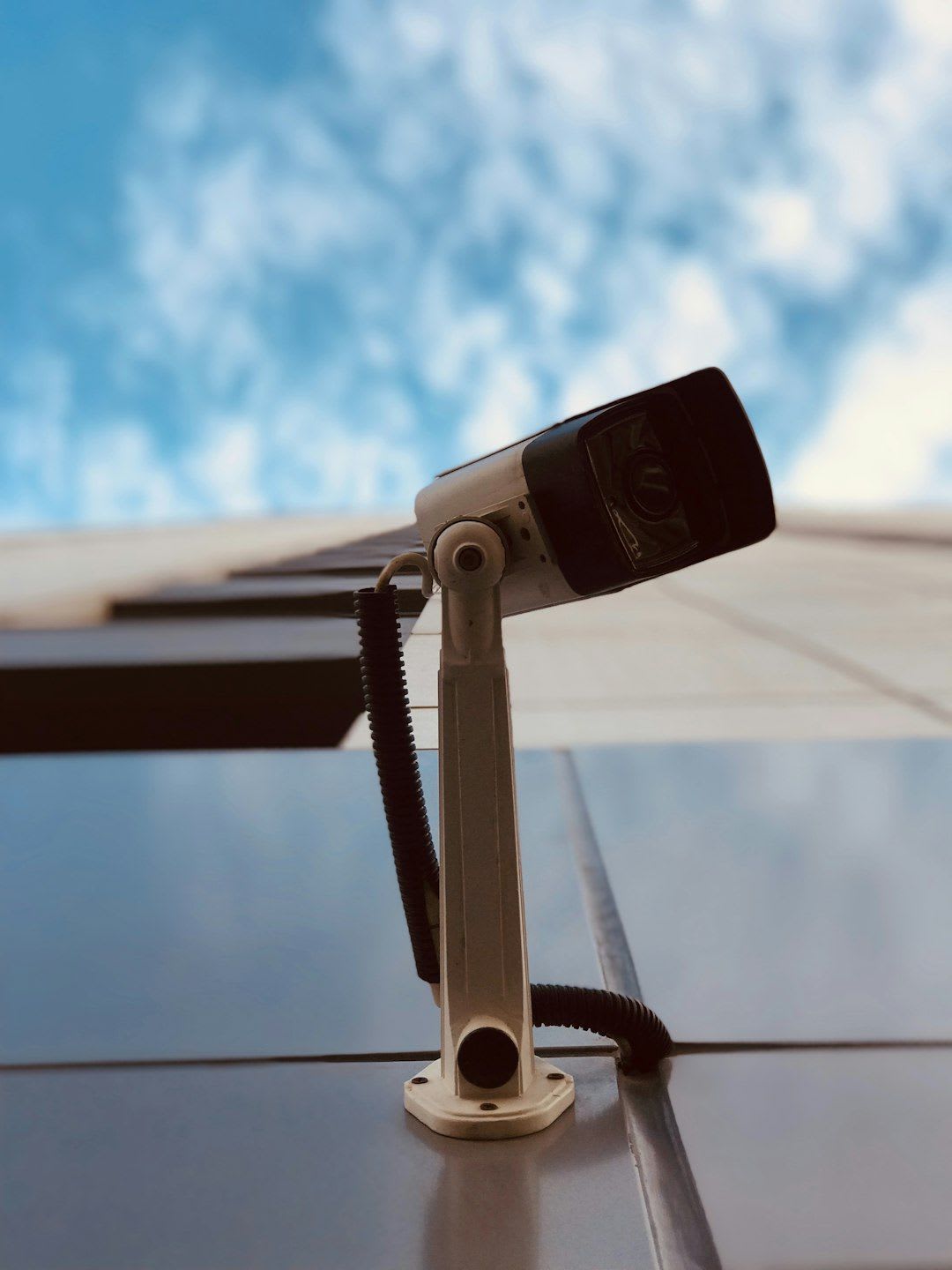 Ein Outdoor Tageslicht Beamer im Einsatz bei einer Garten-Filmvorführung während der Dämmerung für ein perfektes Open-Air-Kino. | Foto: Sodo Sane