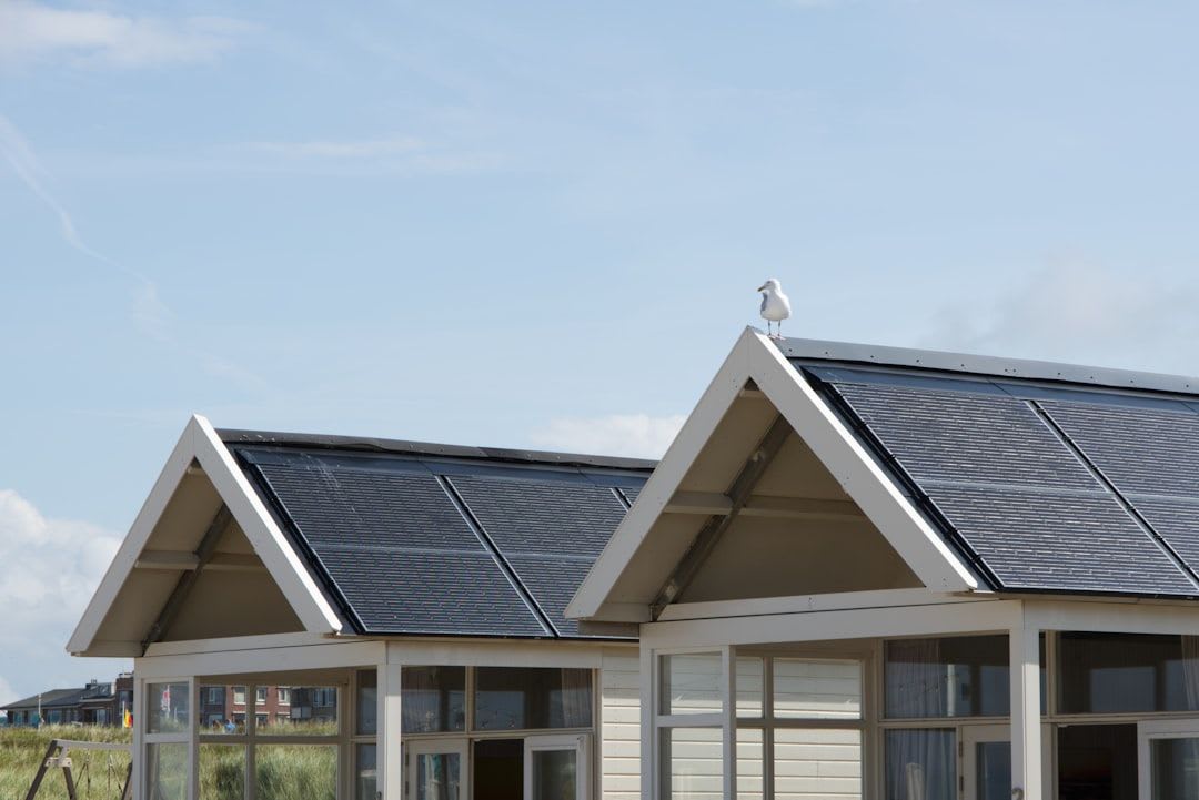 Vergleich von einem starren und einem flexiblen Solarmodul, montiert auf dem Dach eines Offgrid-Campers für autarkes Leben. | Foto: Mischa Frank
