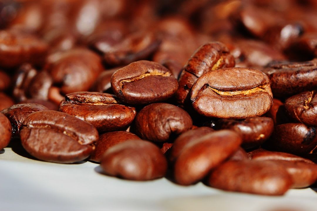 Nahaufnahme von frischen, glänzenden Kaffeebohnen, deren Frische entscheidend für die optimale Espresso Durchlaufzeit ist. | Foto: Alexas_Fotos