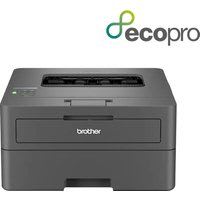 Brother HL-L2400DWE