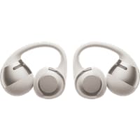 Shokz OpenDots ONE Silber