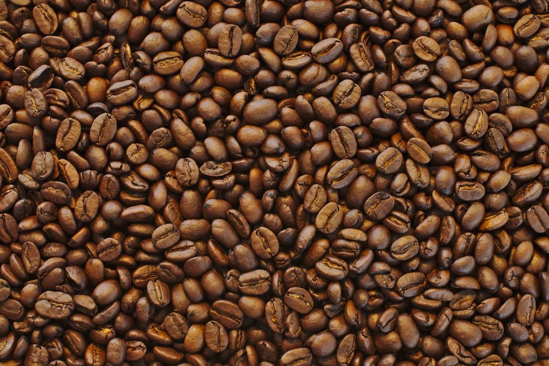 Hochwertige Kaffeebohnen als Grundlage für das Einstellen der perfekten Kaffeestärke an einer DeLonghi Maschine. | Foto: Hans-Peter Gauster