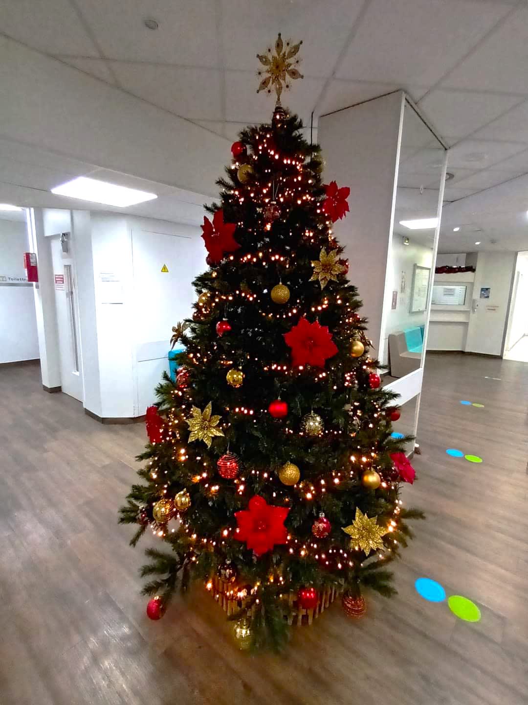 Sapin 2023