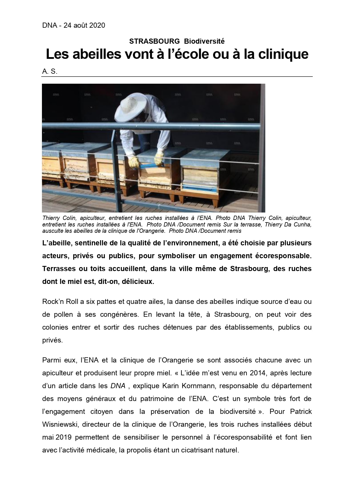 article DNA 24 08 2020