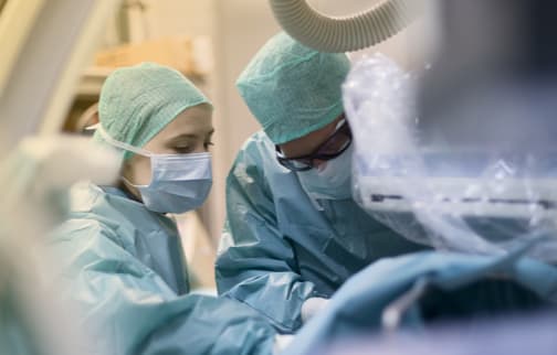 CANDIDATES : our job offers