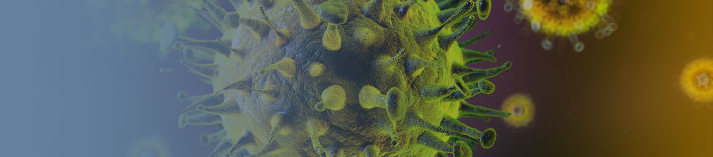 Hantavirus