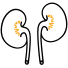 Néphrologie
