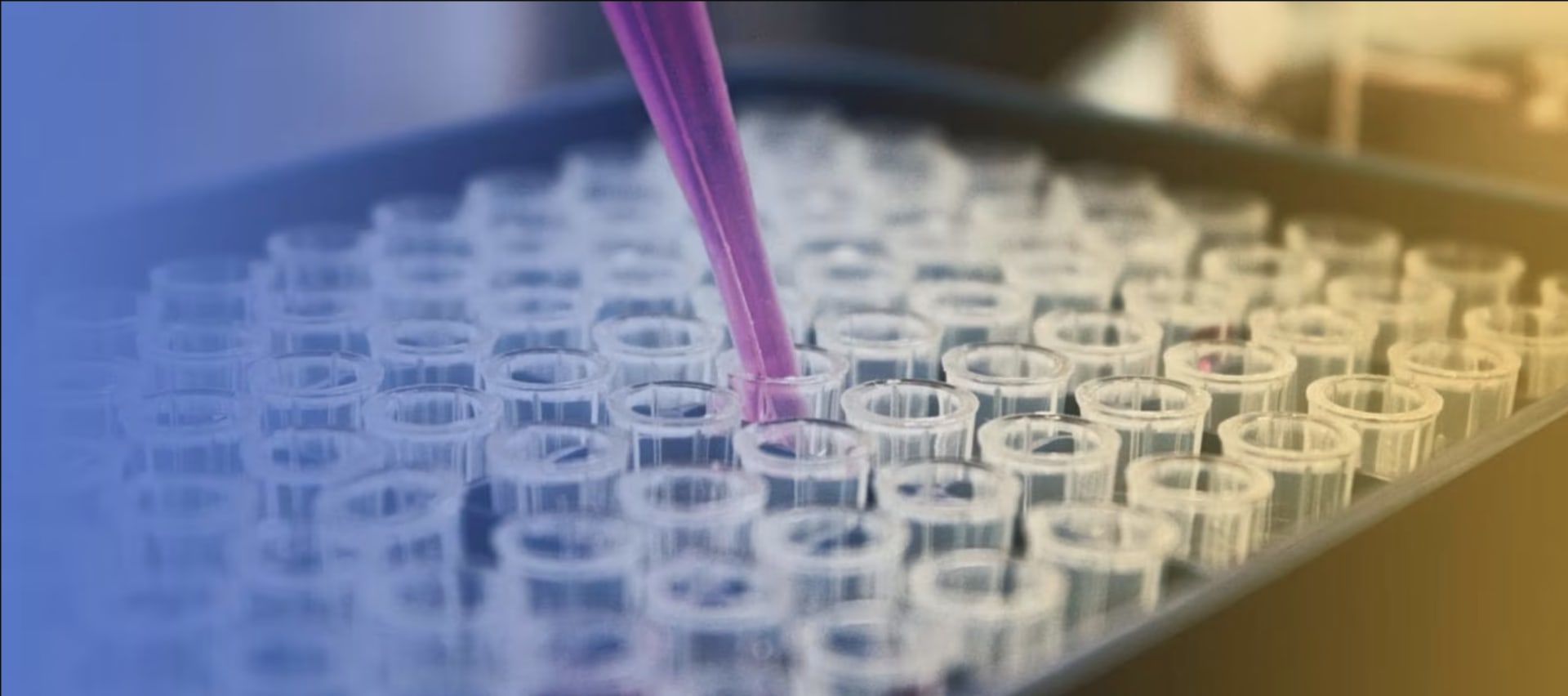 Bilan de santé particuliers