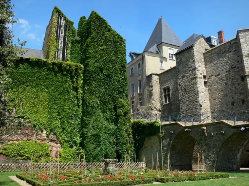 Discover Le Mans