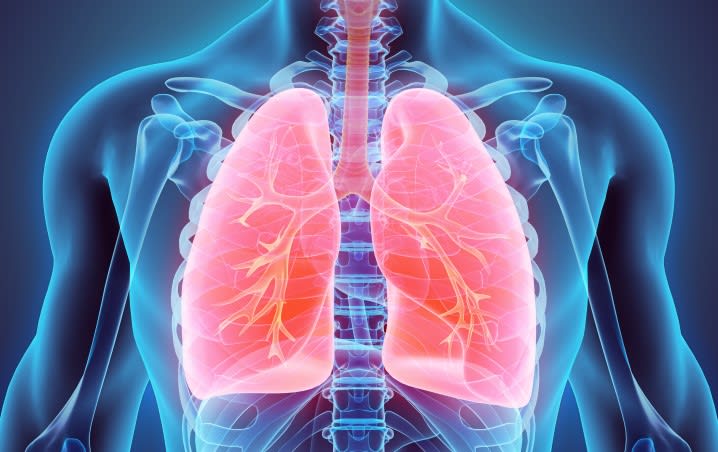 L’apport de la planification 3D et de la fluorescence dans les segmentectomies pulmonaires robot-assistées : une révolution chirurgicale