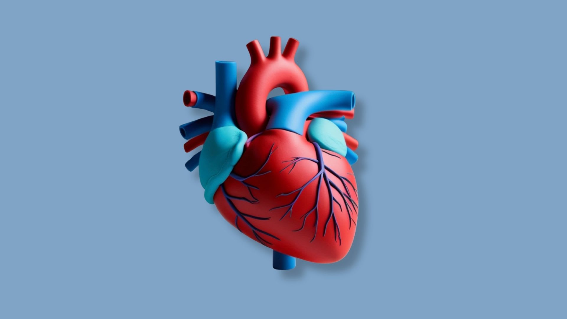 TAVI : une avancée majeure pour remplacer la valve aortique