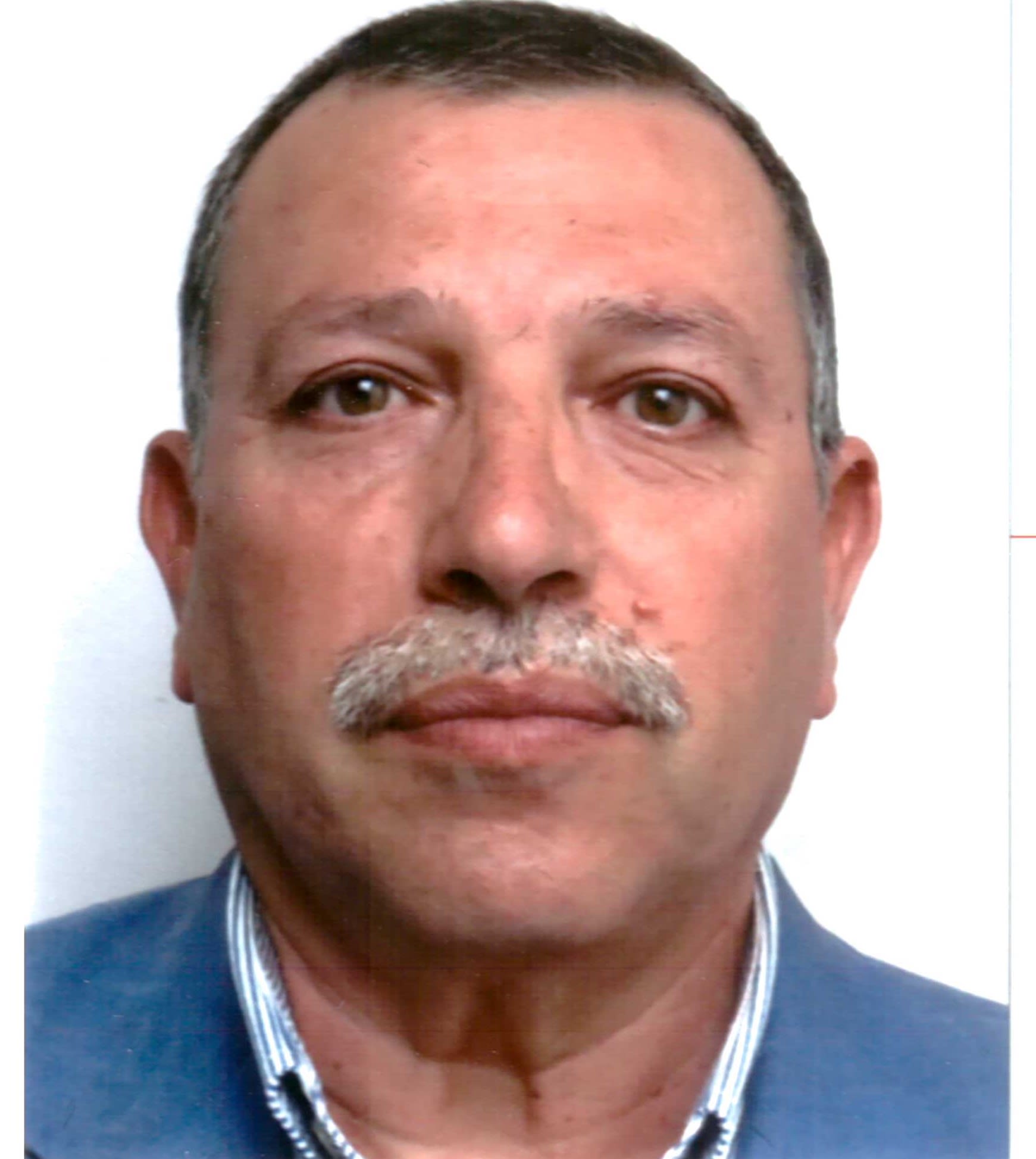 BRAMLI SLIM