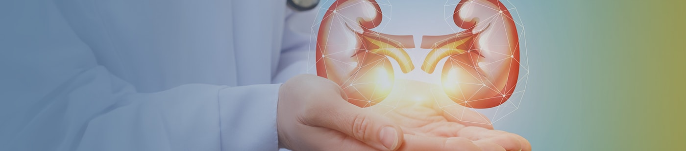 Cancers urologiques : prise en charge à Valenciennes