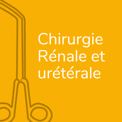 Chirurgie Rénale et urétérale