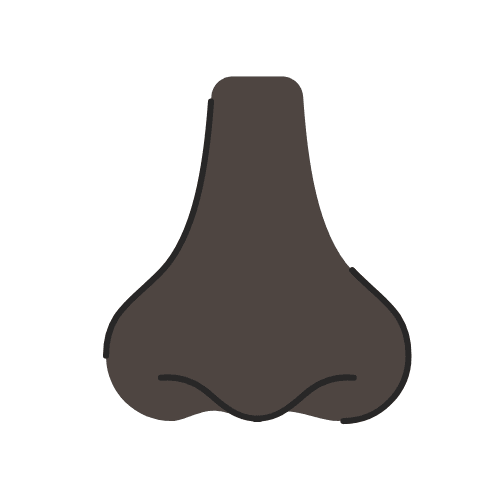 Chirurgie Plastique reconstructrice et esthétique