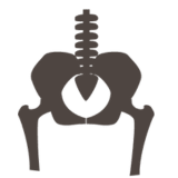 Chirurgie Orthopédique et Traumatologique