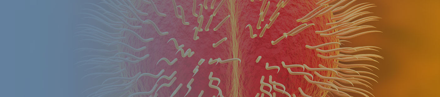 Méningites A,C W135, Y, B