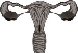 Chirurgie gynécolgique