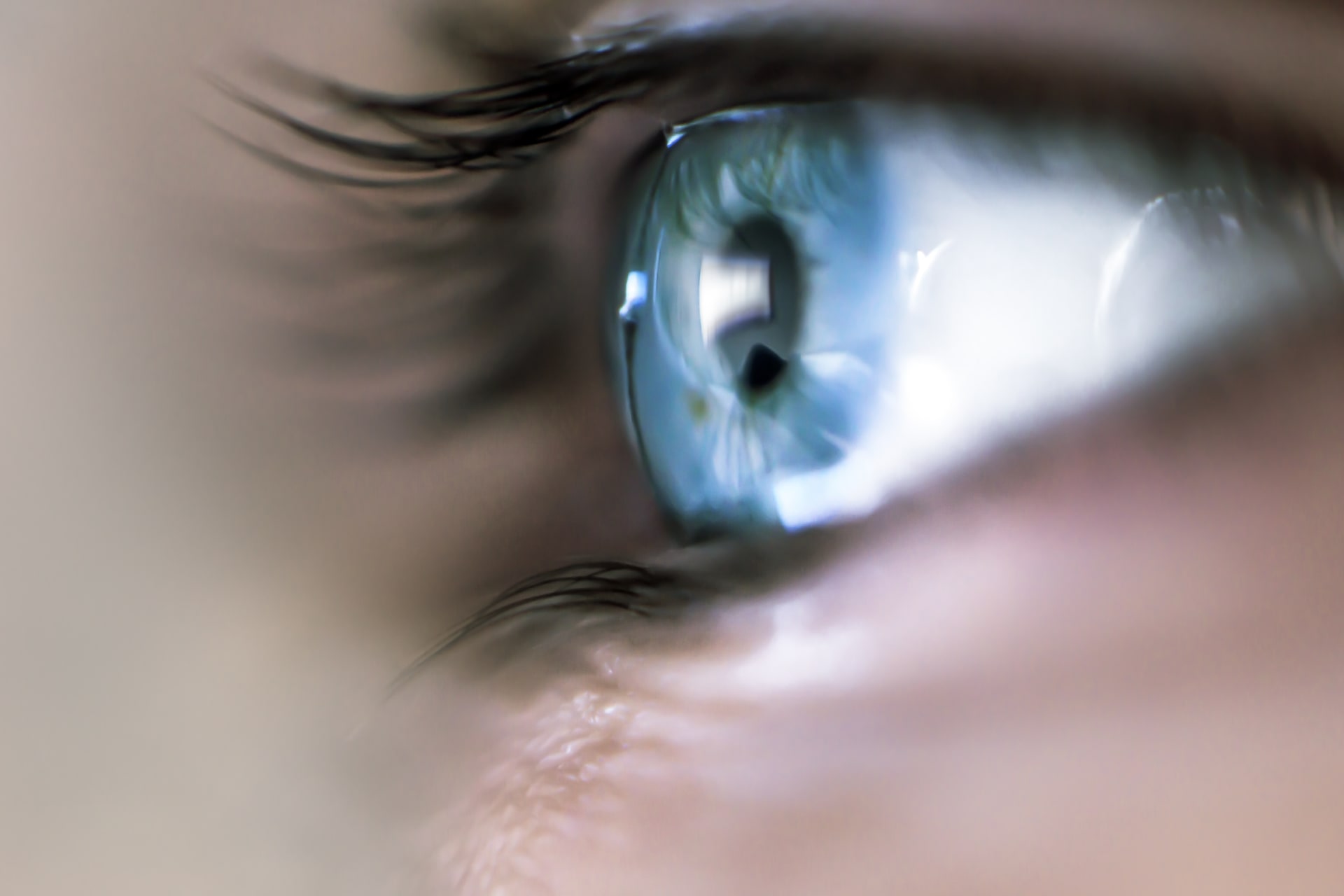 oeil