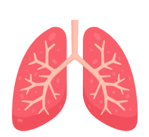 Maladies pneumologiques