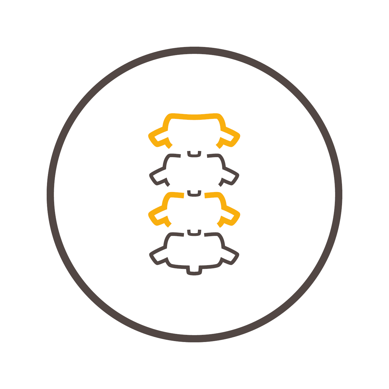 Ecole des patients en chirurgie orthopédique