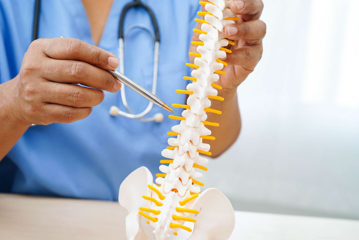 Physician holding and explaining a model of the human vertebral column.