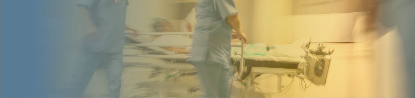 Morsure de chauve-souris 