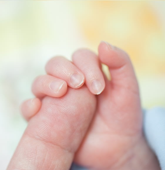 la naissance à Grand Sud