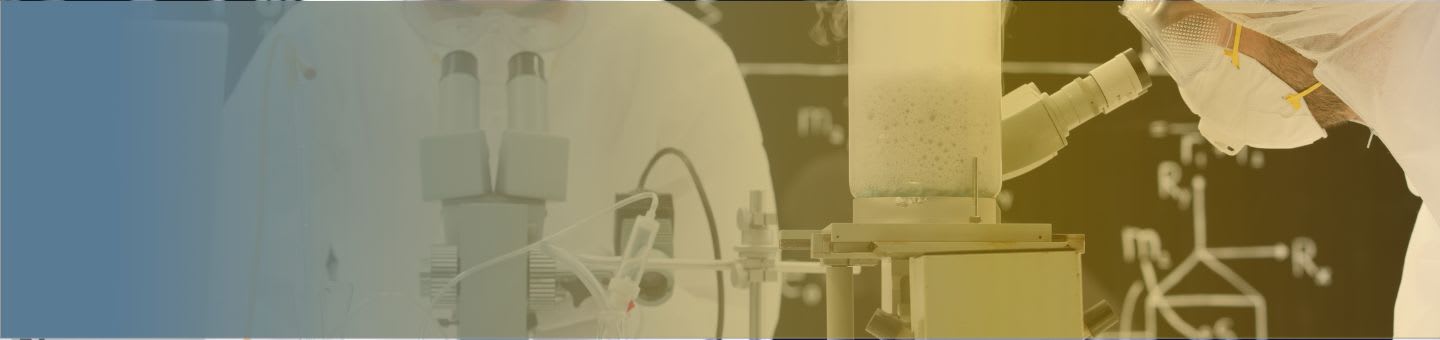 Polynucléaires basophiles