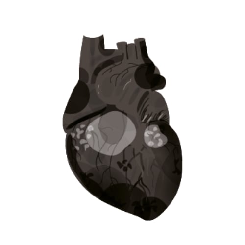 Cardiologie