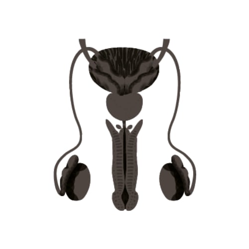 Chirurgie urologique et cancérologie