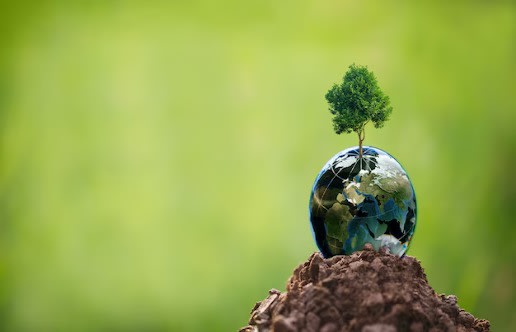 La démarche RSE du Pôle Santé Sud