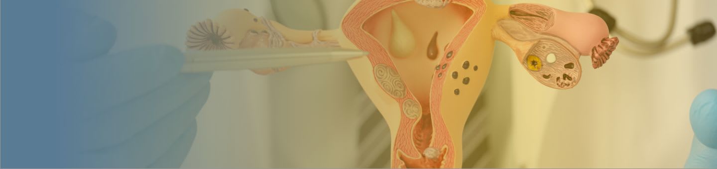 Maladies gynécologiques