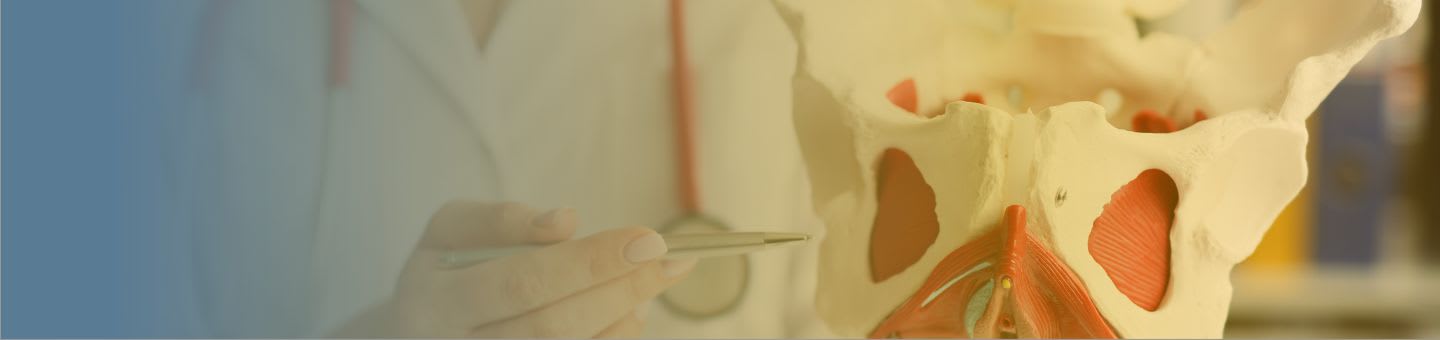 Service d'Orthopédie en France