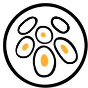 Institut de Cancérologie du Hainaut