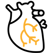 Parcours cardiologie