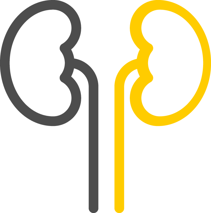 néphrologie