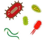 antibio