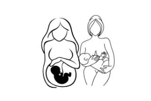illustration femme enceinte et femme allaitante